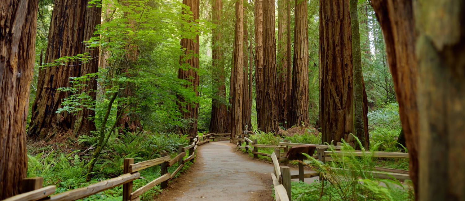 Stay Close To San Rafael’s Top Attractions